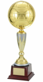 Gold Soccer Ball Brown Base Award