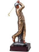 RF20341 Multi-Color Male Golfer