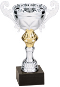 Silver Metal Cup Swim Trophy