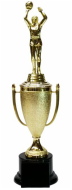 Gold Basketball Trophy Cup