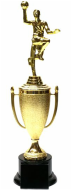 Basketball Cup Trophy