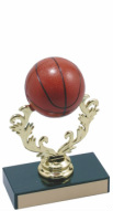 Small Color Basketball Trophy