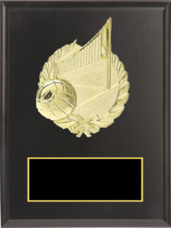 Gold Wreath Sport Plaque on Matte Plaque Plaque Award
