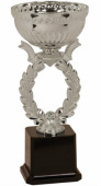 Silver Economy Academic Cup Trophy
