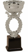 Silver reef Cup Trophy