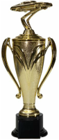 Large Cup Car Trophy