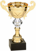 Gold Metal Cup Swimming Award