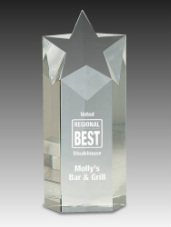 Crystal Star Column Award.