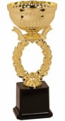 Gold Reef Cup Award