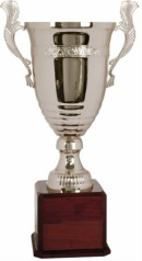 CMC920S Series Silver Metal Cup Trophy Marble Base