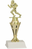 Crown Riser Football Award