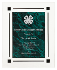 Green Marble Acrylic Clear Plaque Award CPQ8GM