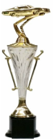 Medium Acrylic Cup Car Trophy